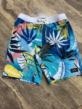 O'Neill Men's Tropical Blue Leaf Print Swim Shorts